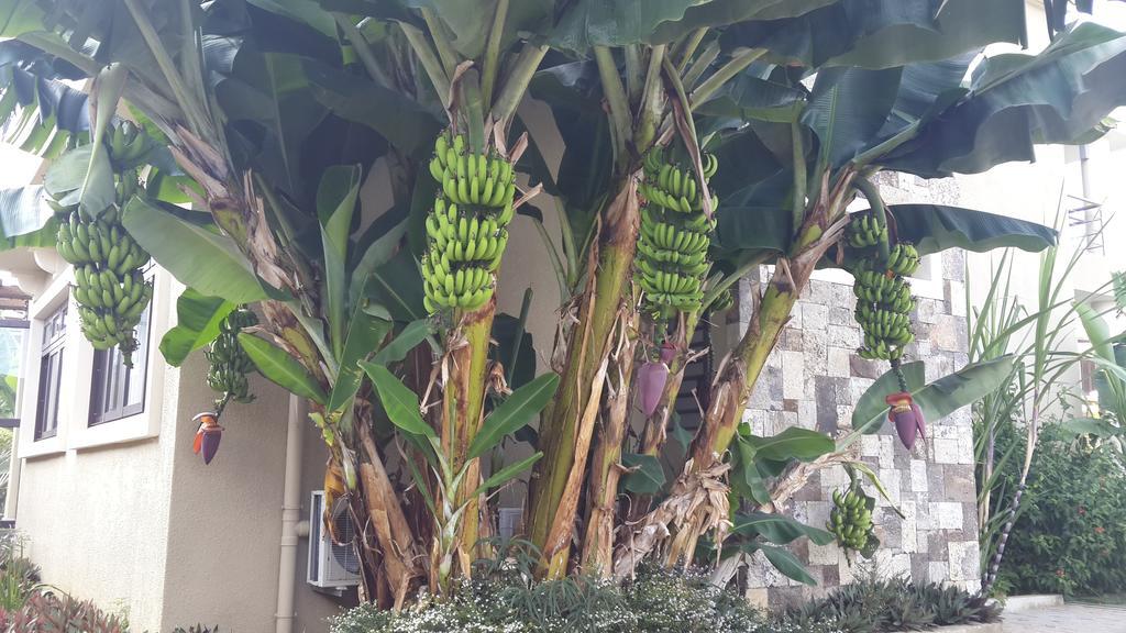 فيلات وشقق فيلاصن الفاخرة Flic-en-Flacq المظهر الخارجي الصورة